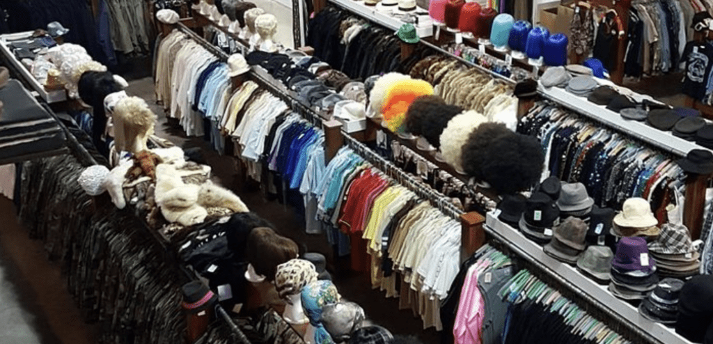 Iguana Vintage Clothing Best Thrift Stores Lexy Silverstein 